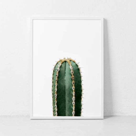Cactus Art Print, Modern Botanical Decor