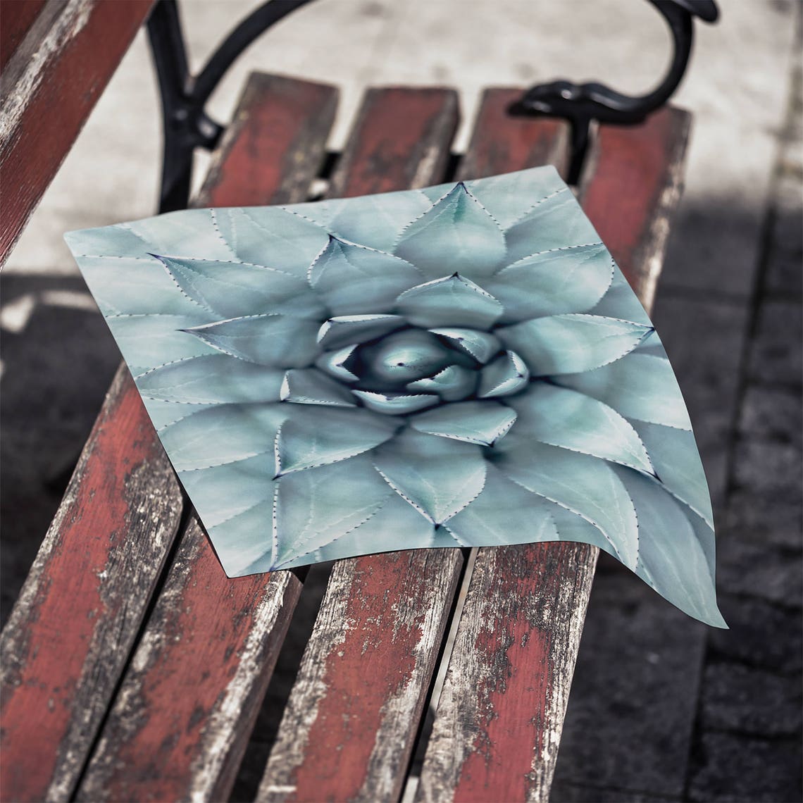Blue Agave Succulent Top Down Botanical Photography Art Poster - Image 2