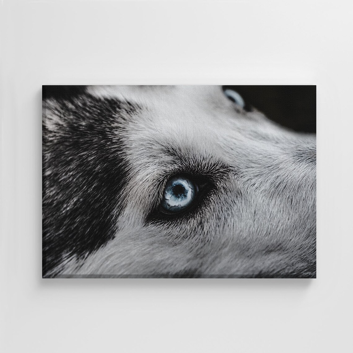 Blue Eyes Husky Dog Lover Photo, Nursery Decor