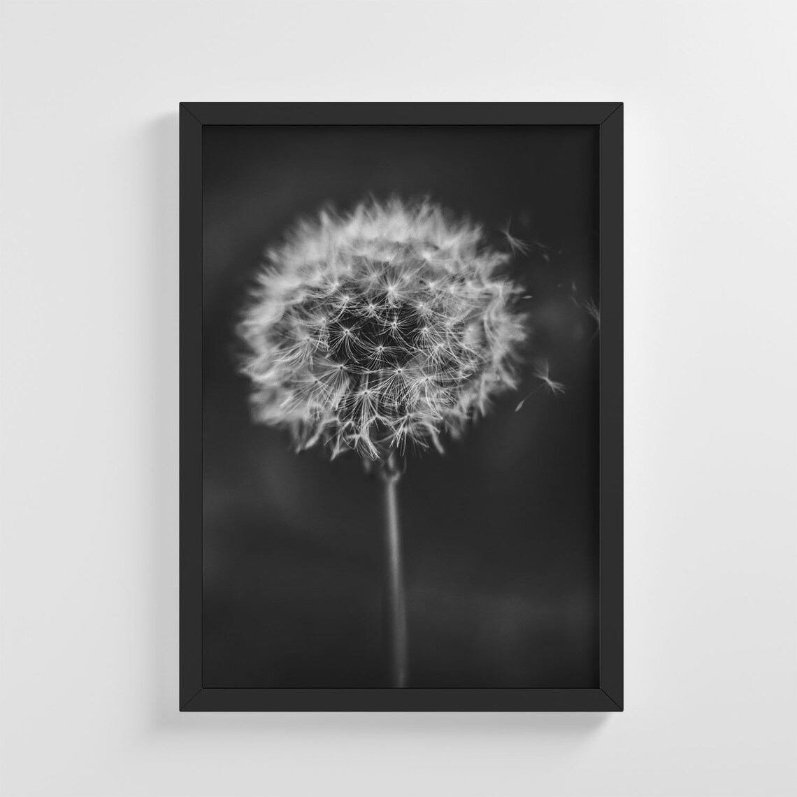 Dandelion Nature Art Print, Nursery Decor