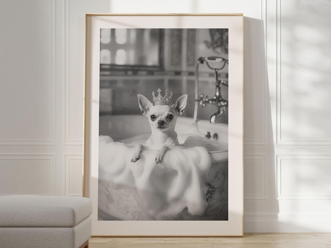 Dog In Bubble Bath, Vintage Photography