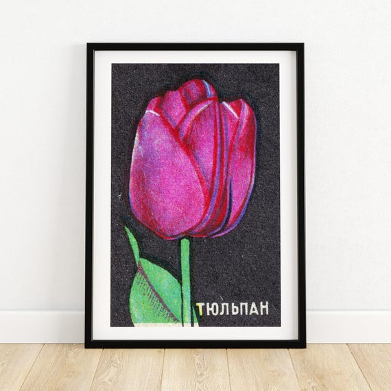 Purple Tulip Matchbox Vintage Eastern Europe Poster