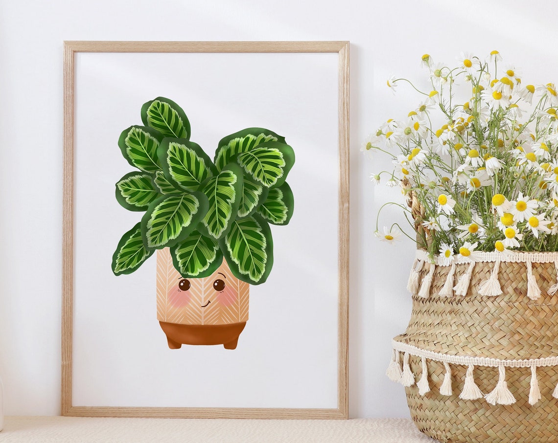 Calathea Roseopicta in a Patterned Terracotta Pot with a Face Poster