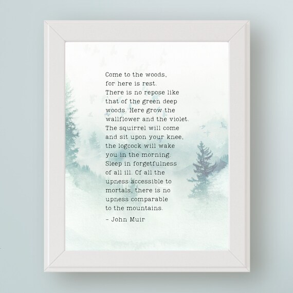 John Muir Come To The Woods Rest Misty Pines Quote Wall Print