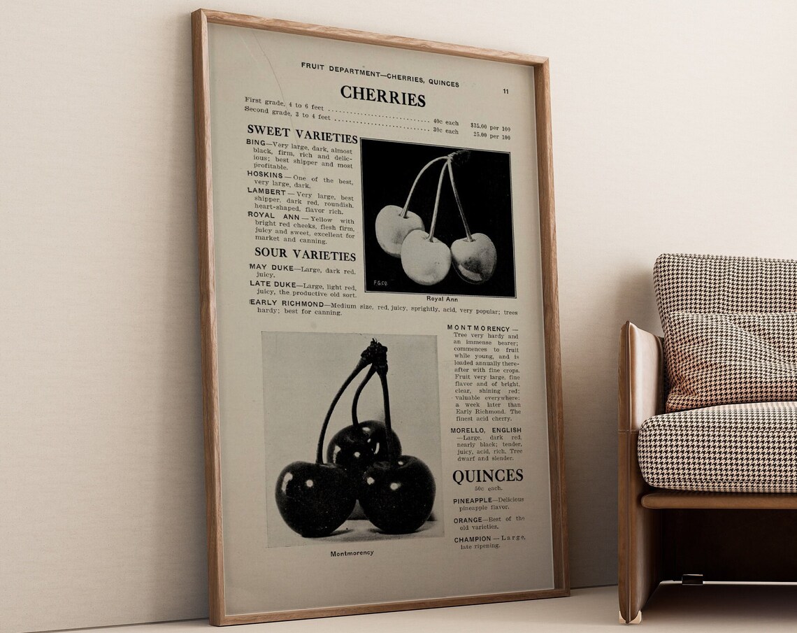 Cherry Vintage Book Print, Retro Kitchen Art Print - Image 4