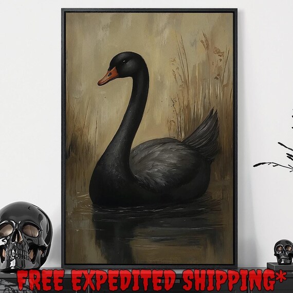 Black Swan Graceful Profile Golden Marsh Water Wildlife Art Poster