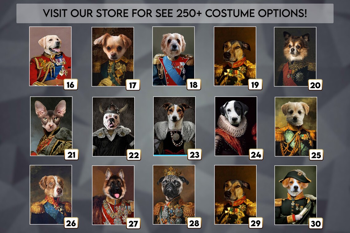 Custom Military Pet Portrait Royal Pet Portrait Victorian Pet King Quenn Pet Portrait Pet Lover Gift Pet Memorial Regal Dog Cat Print - Image 4