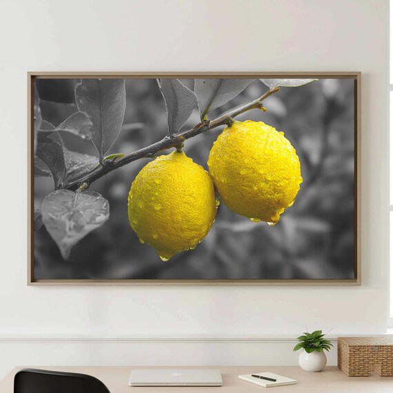 Fresh Lemons on Branch Dew Drops Selective Color Photo Poster