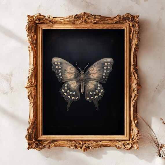 Dark Gothic Butterfly Black Background Vintage Specimen Style Poster