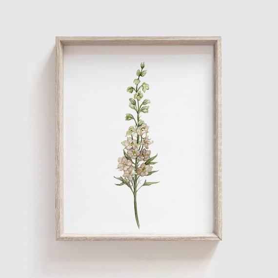 Larkspur Flower Watercolor Art Print, Floral Home
