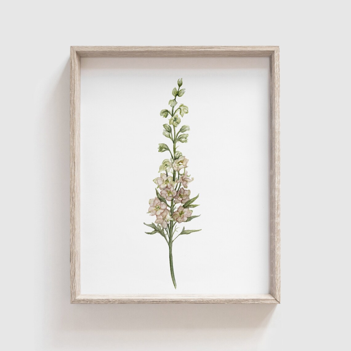 Larkspur Flower Watercolor Art Print, Floral Home