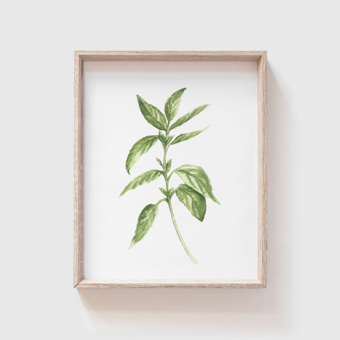 Basil Watercolor Art Print, Kitchen Herb Decor