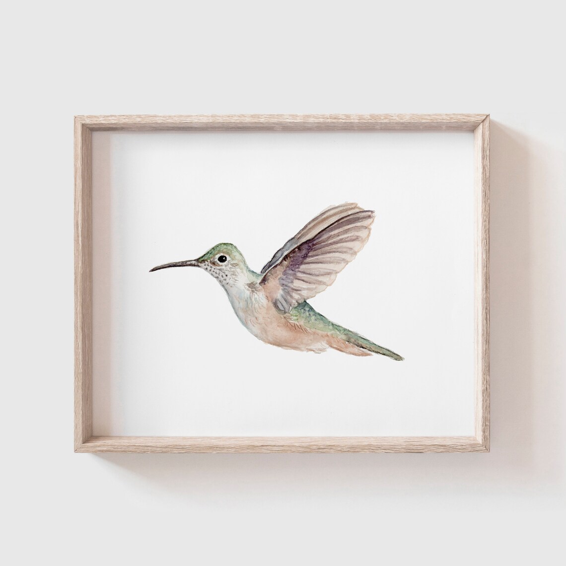 Hummingbird Watercolor Art Print, Bird Painting