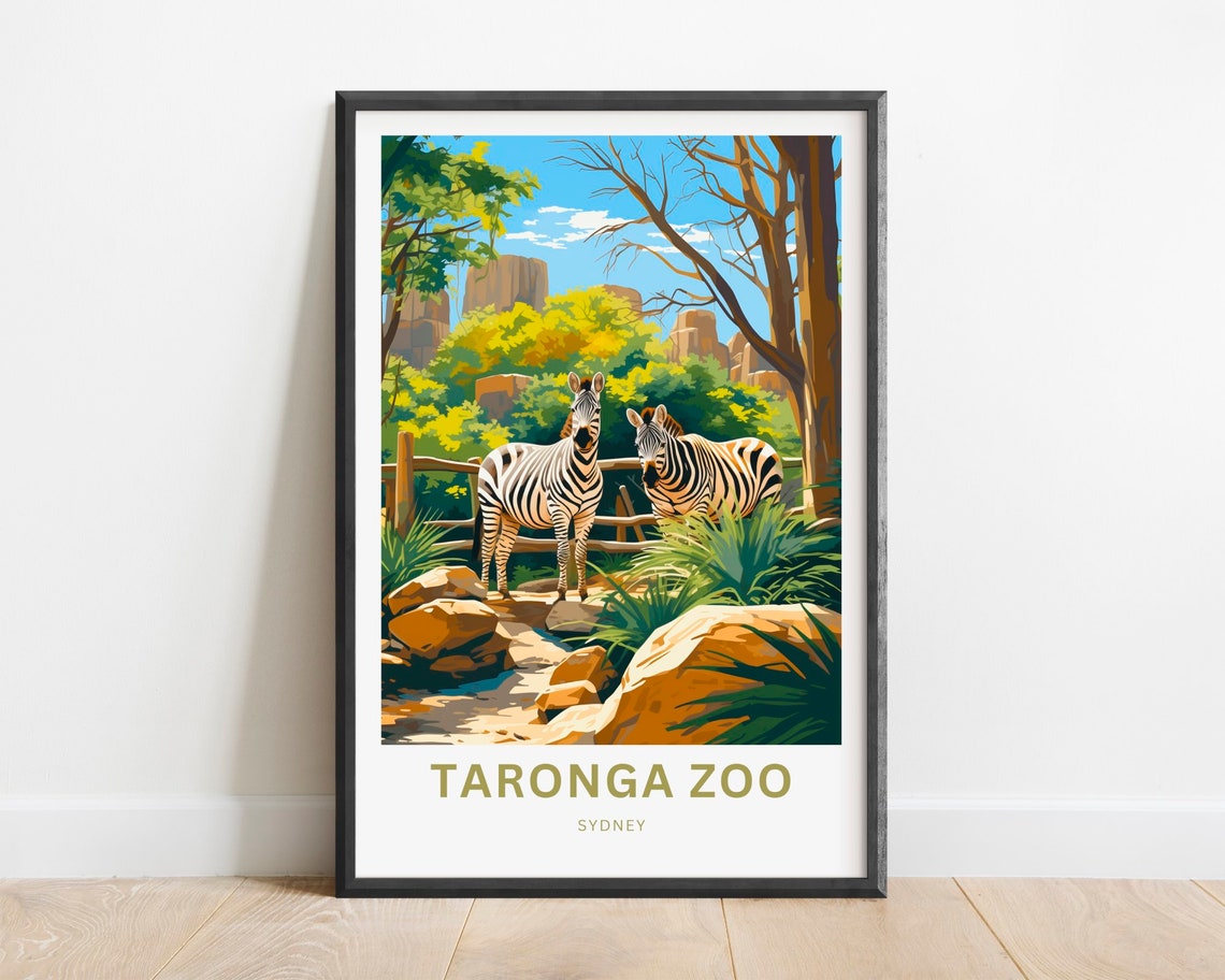 Taronga Zoo Sydney Zebras Pair on Savannah Rocks Travel Poster