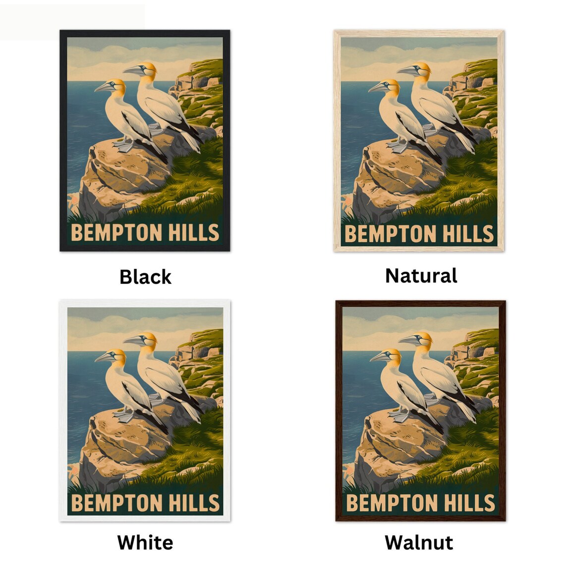 Bempton Hills England Vintage Gannets on Rocky Sea Cliffs Poster - Image 2