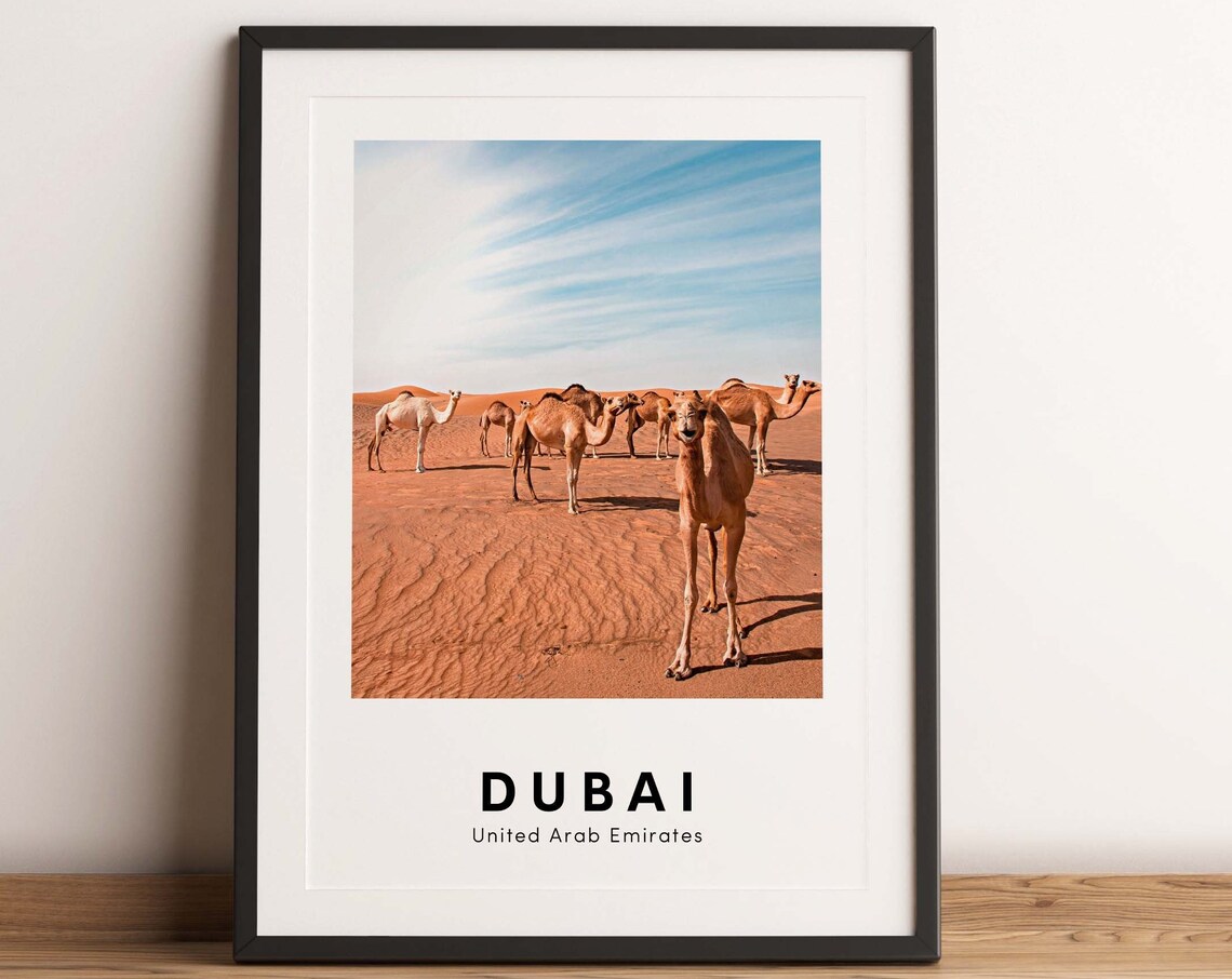 Dubai United Arab Emirates Desert Camels Golden Dunes Photo Poster