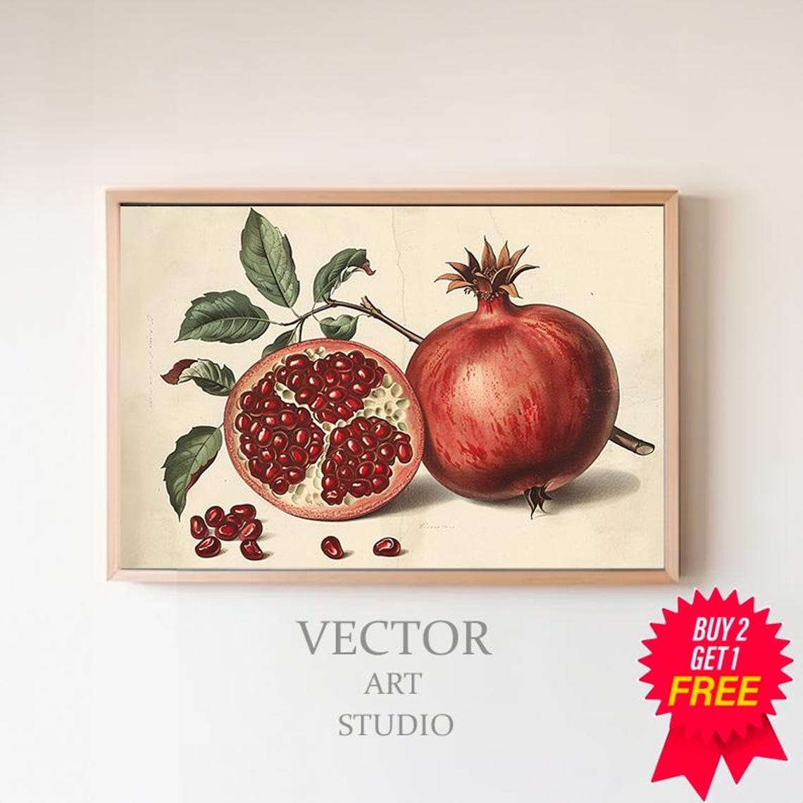 Vintage Red Pomegranate Botanical Whole and Halved Fruit Poster