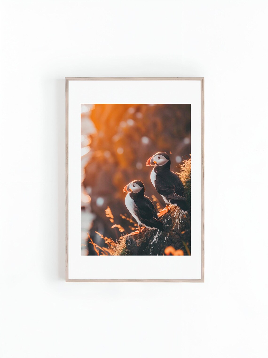 Puffin Penguins On Cliff In Iceland, Wildlife Photo - Image 3