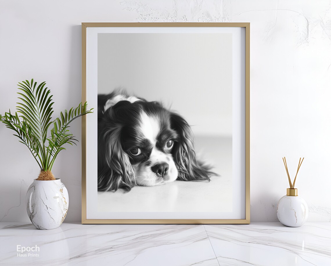 Cavalier King Charles Spaniel, Dog Lover Gifts