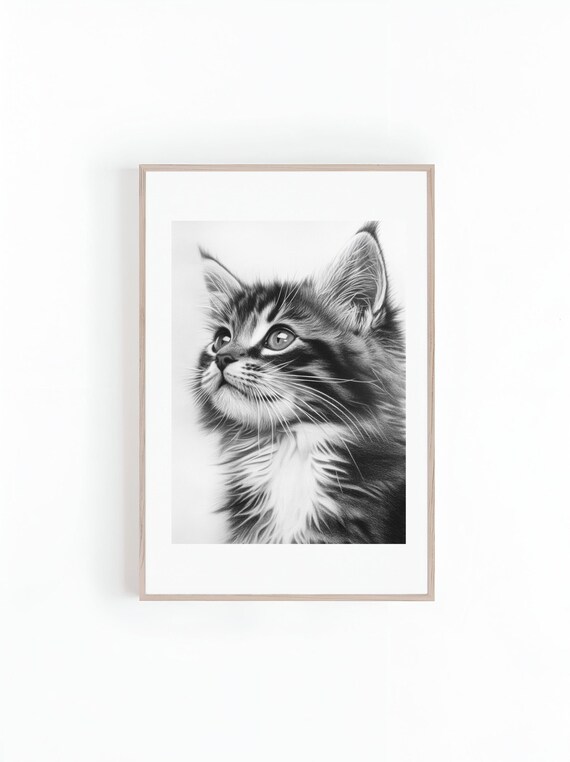 Tabby Kitten With Wide Eyes Looking Up in Black and White Poster