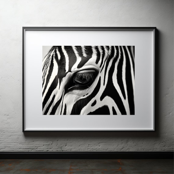 Zebras Eye Wildlife Photo Poster