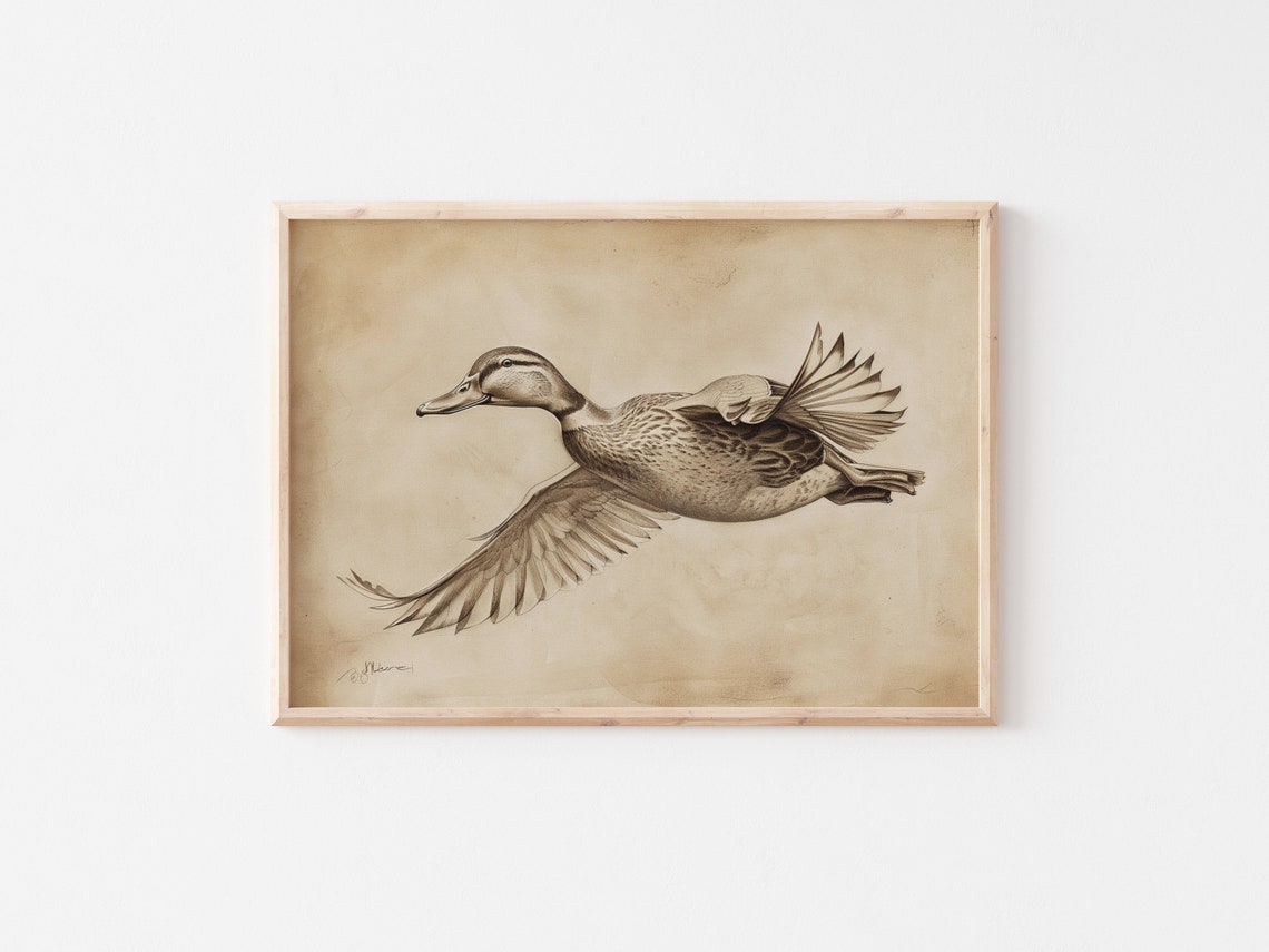 Mallard Duck in Flight Vintage Sepia Wildlife Etching Art Print - Image 2