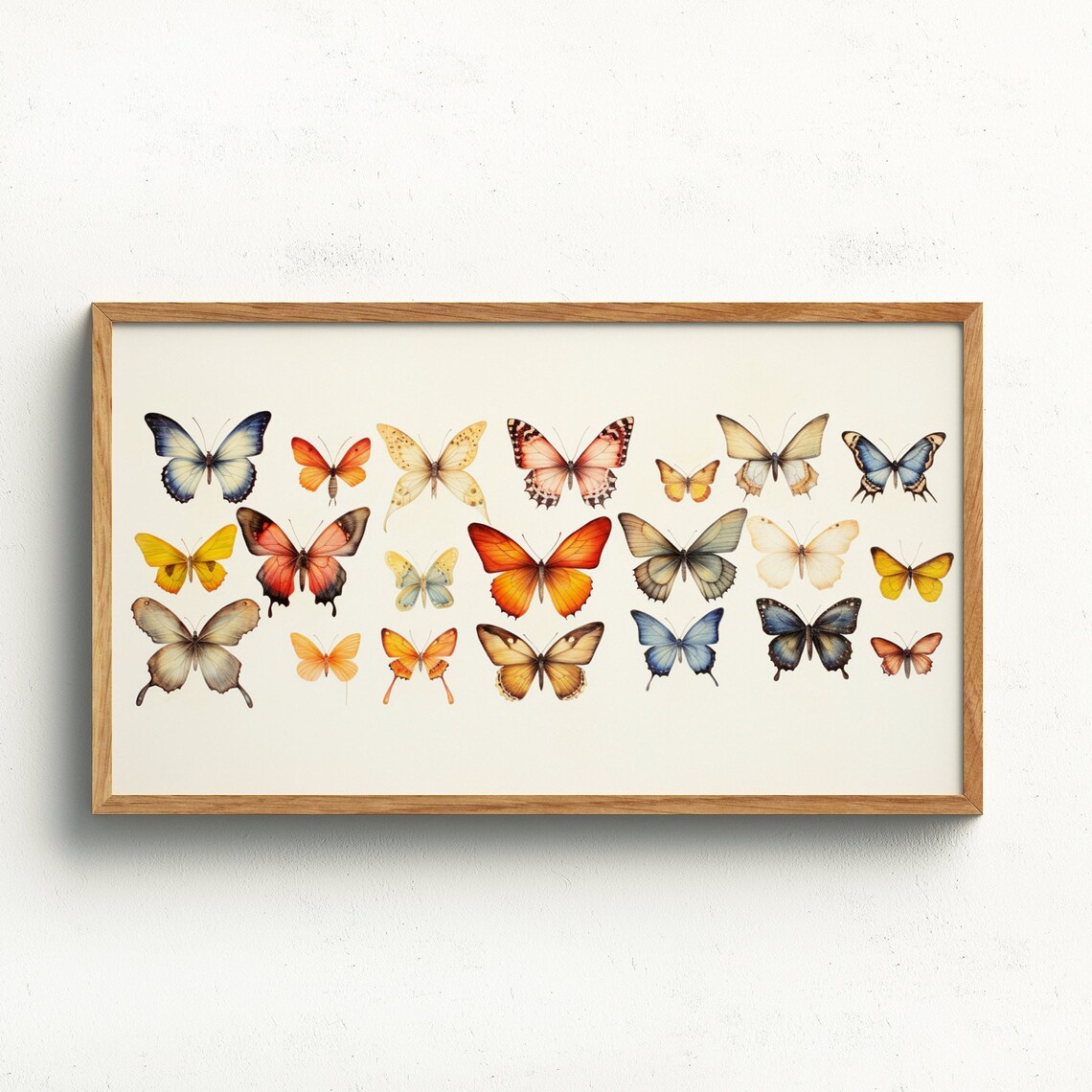 Butterfly Frame Art Print, Vintage Spring Decor