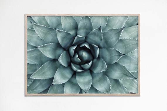 Succulent Print Wall Art Cactus Botanical Prints Photo Gift