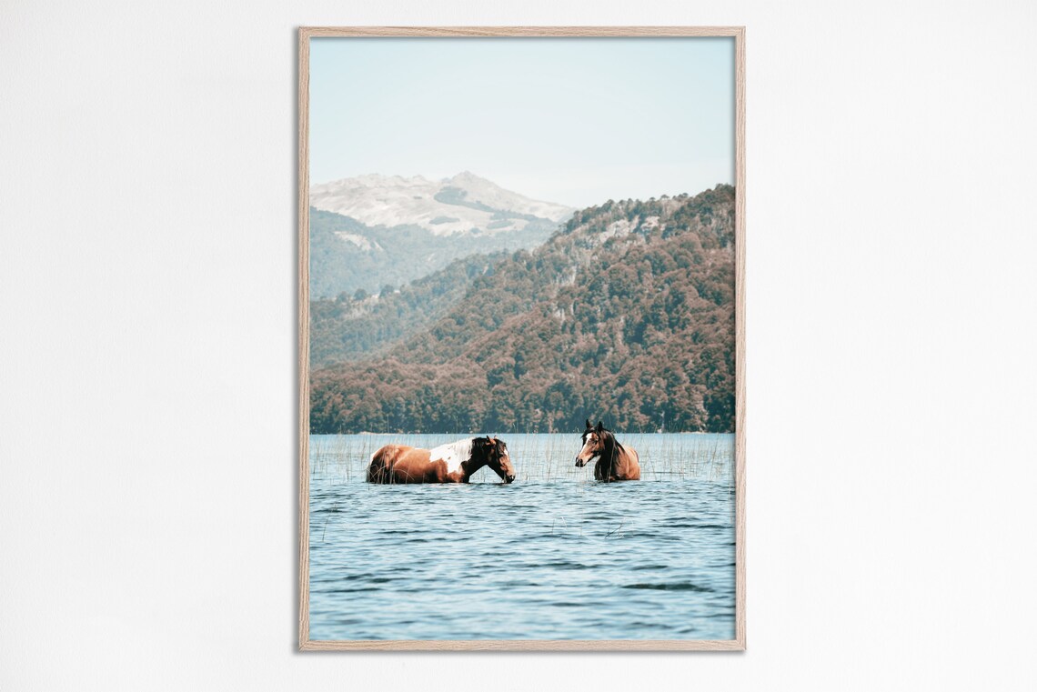 Lake House Horse Photography Wall Art Poster