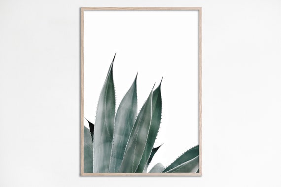 Aloe Vera Print Succulent Agave Cactus Wall Art Botanical Home Decor Greenery Poster Modern Prints