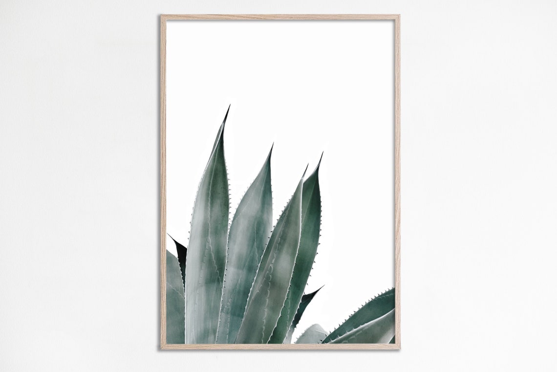 Aloe Vera Print Succulent Agave Cactus Wall Art Botanical Home Decor Greenery Poster Modern Prints