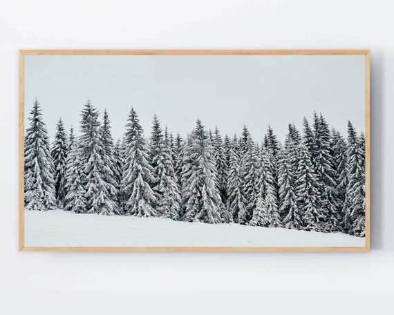 Winter Forest Samsung Frame Tv Art Instant Snowy Pine Trees Wonderland Photo For The