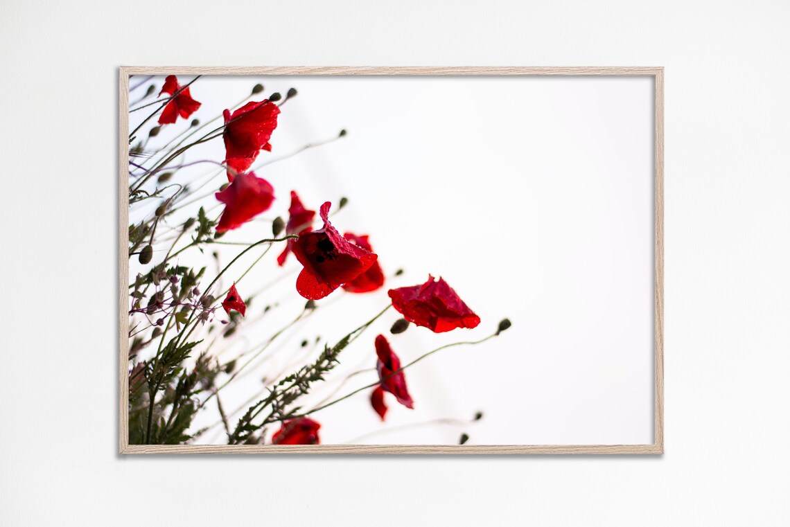 Red Poppies Photography Poster With Bright Spring Florals Art