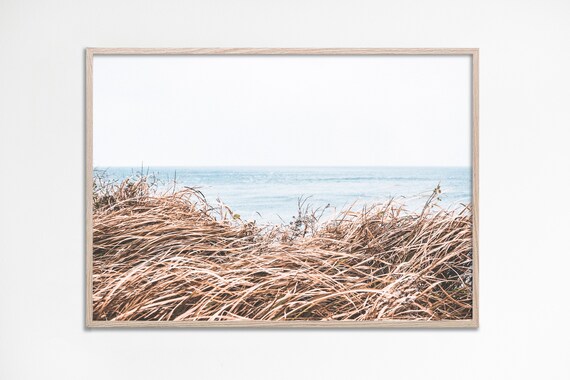Beach Grass Dunes Minimalist Coastal Photo Neutral Sea Oats Art Poster
