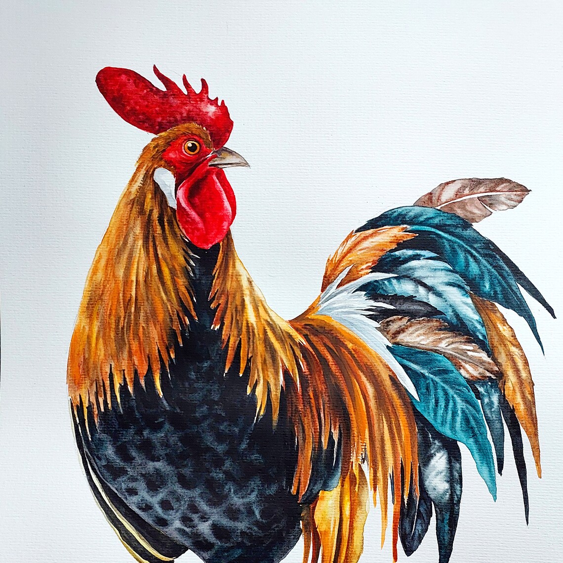 Watercolor Rooster Painting, Farmhouse Bird Art Print