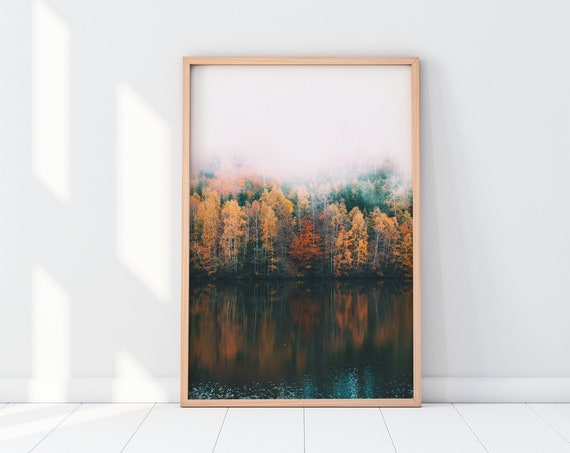 Forest Landscape Print Nordic Nature Photography Foggy Poster Wall Art