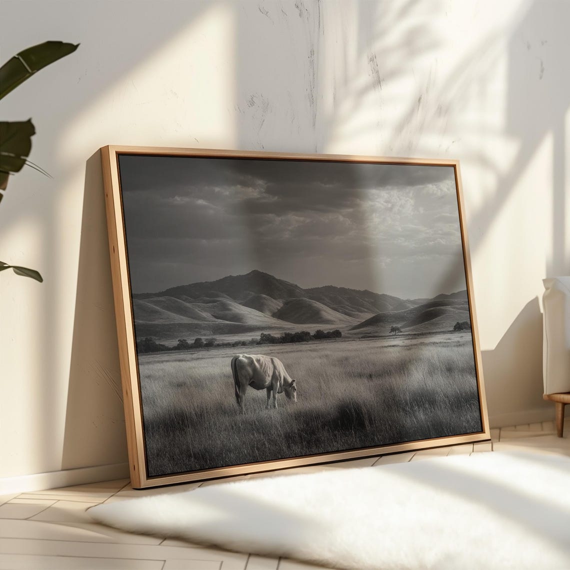 Lone White Cow Grazing Rolling Hills Black and White Farm Poster