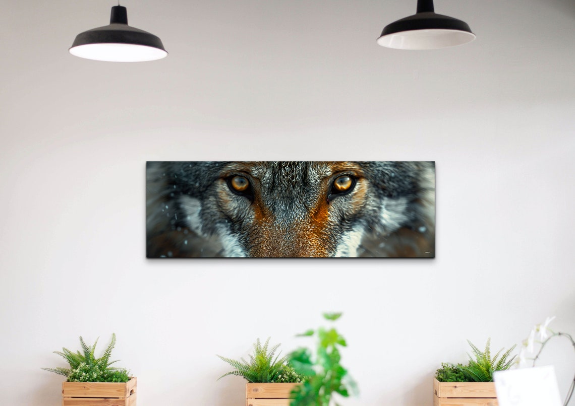Intense Wolf Eyes Close Up Wildlife Portrait Panoramic Poster - Image 5
