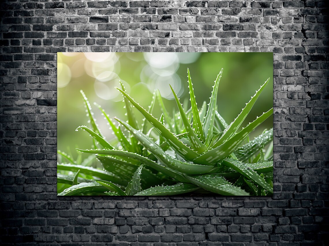 Aloe Vera Botanical Decor, Garden Room Art Print - Image 2