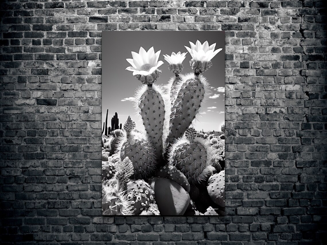 Black And White Flowering Cactus Desert Botanical Photo Poster - Image 2