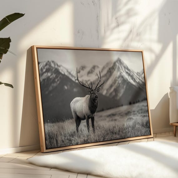 Majestic Elk Black And White Mountain Wildlife Wall Art