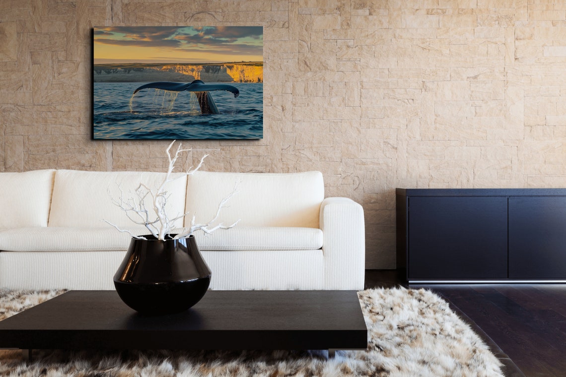 Whale Fluke Splashing at Golden Sunset Sea Cliffs Ocean Poster - Image 5