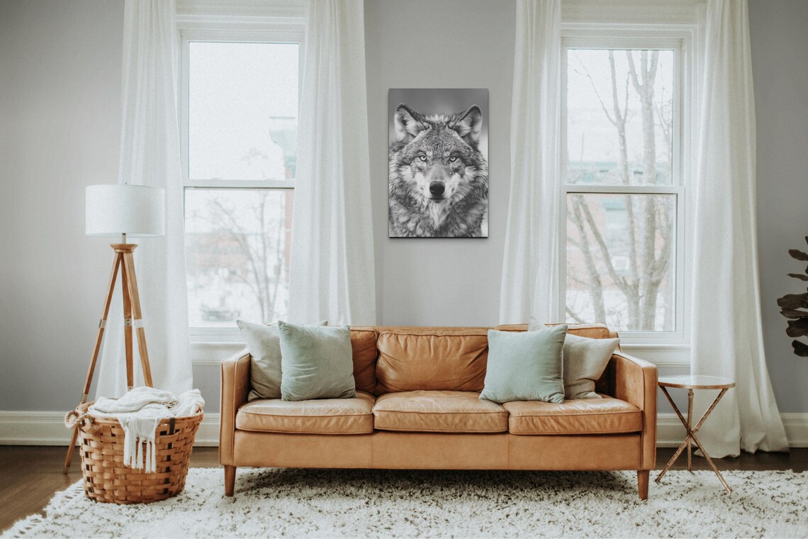 Gray Wolf Face Portrait Black and White Wildlife Photo Art Poster - Image 3
