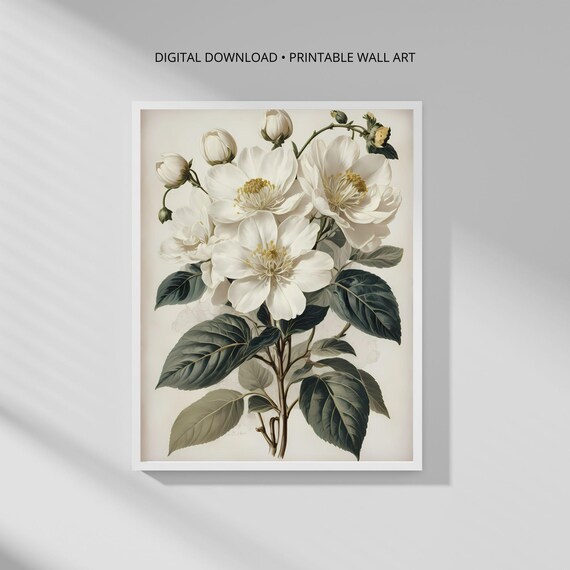 Modern Botanical Wall Art Print White Floral Minimalist Decor