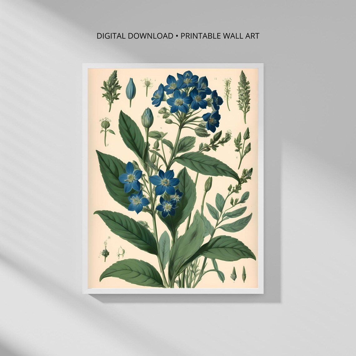Modern Botanical Wall Art Print Blue Gentian Minimalist Decor