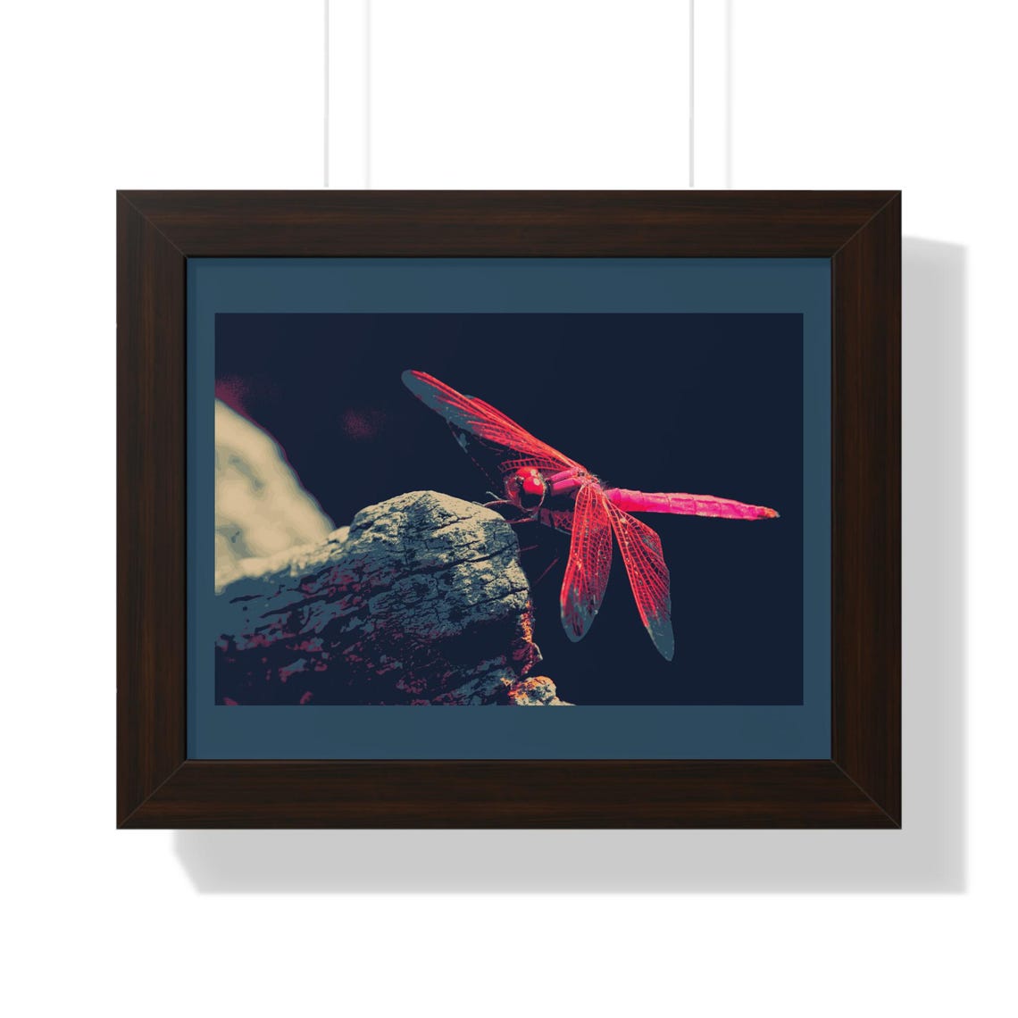 Bold Vivid Red Scarlet Dragonfly Resting on a Rock Framed Poster