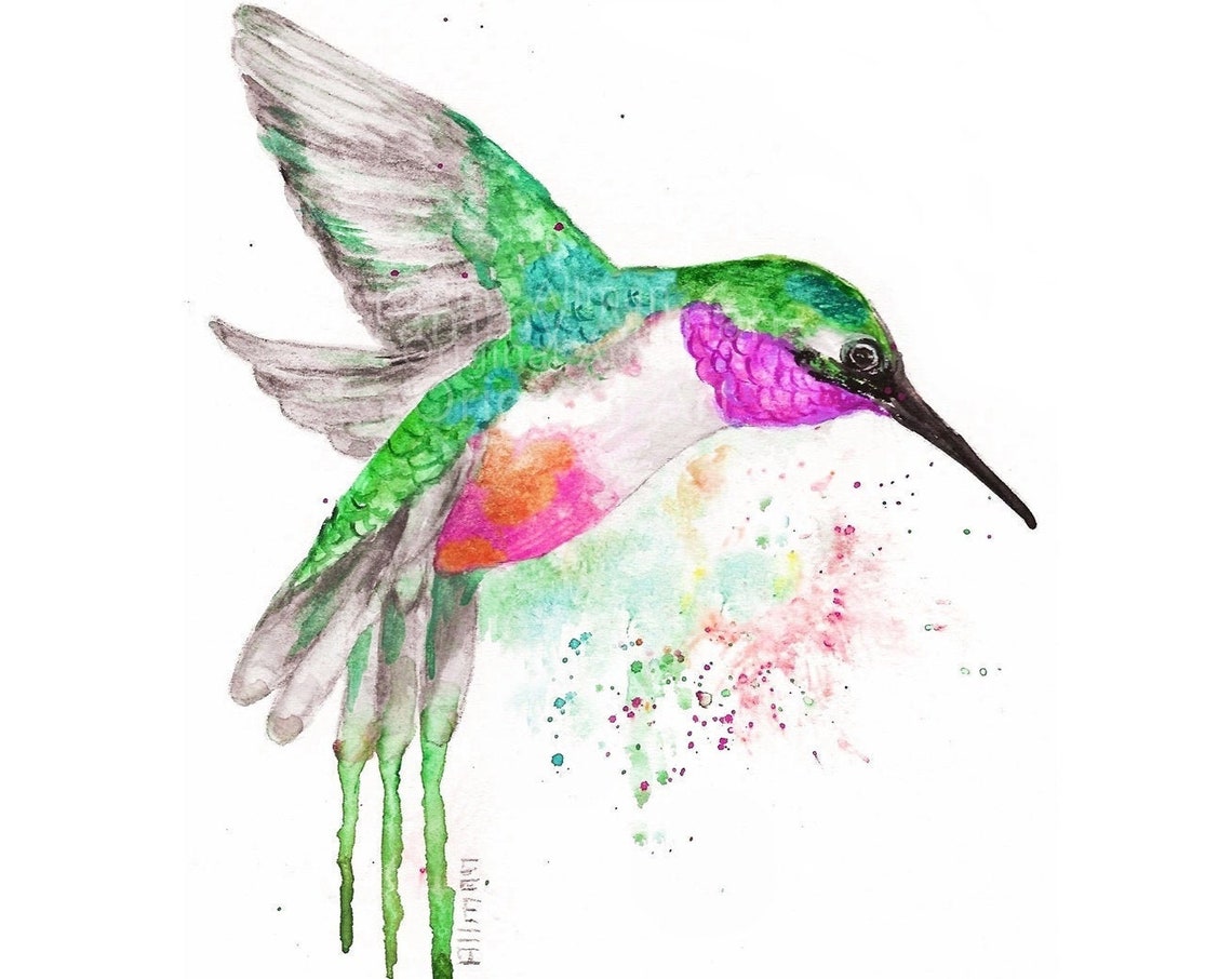 Hummingbird in Flight Green and Magenta Watercolor Bird Art Poster