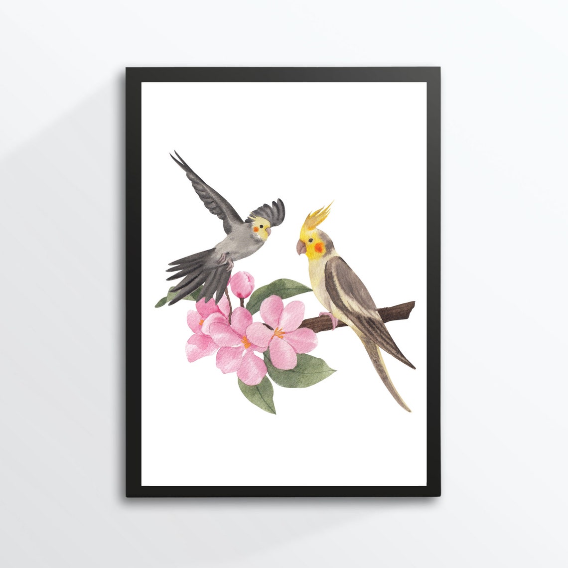Two Cockatiels with Pink Blossoms Watercolor Parrot Bird Art Poster