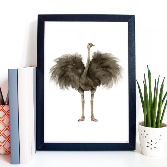 Din A4 Art Print Without Frame Ostrich Africa Watercolor Poster Print Picture