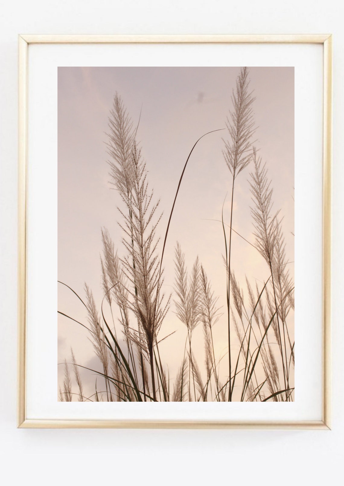 Tall Grass Silhouettes Against Pink Sunset Sky Photo Art Print - Image 2